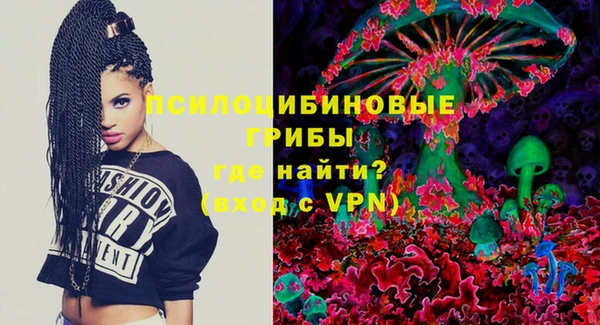 первитин Богданович