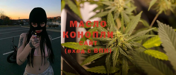 молекула духа Богородск