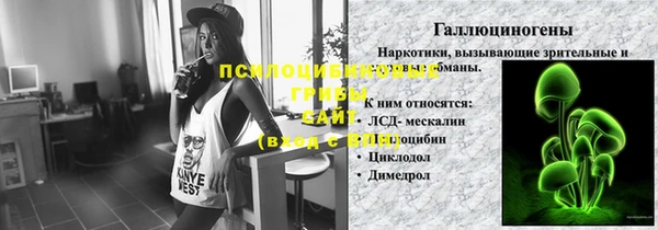 амф Богородицк
