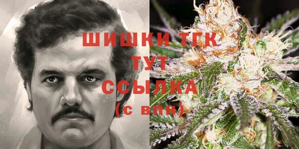 амф Богородицк