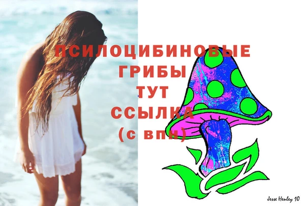 амф Богородицк
