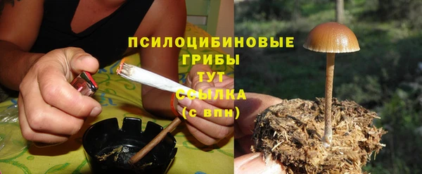 молекула духа Богородск