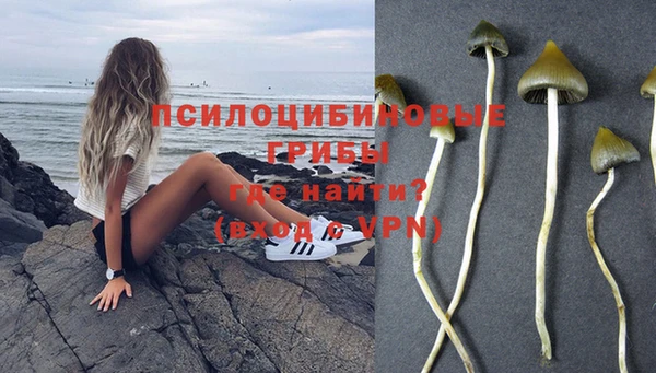 первитин Богданович