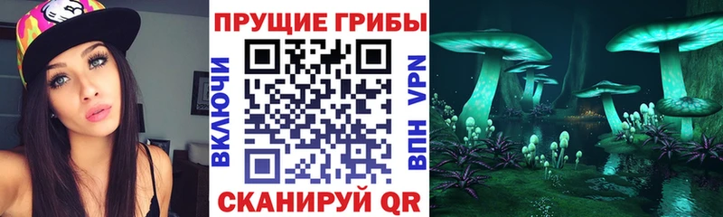 Купить где Ипатово Псилоцибиновые грибы ЛСД